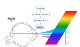 是不是藍(lán)光都會對眼睛造成傷害