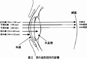 那些你看不見的光對眼睛的傷害